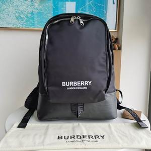 Burberry Handbags 164